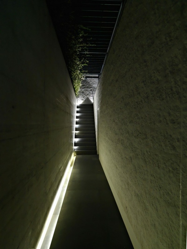 Luzes de fada LED naturais para a entrada da casa