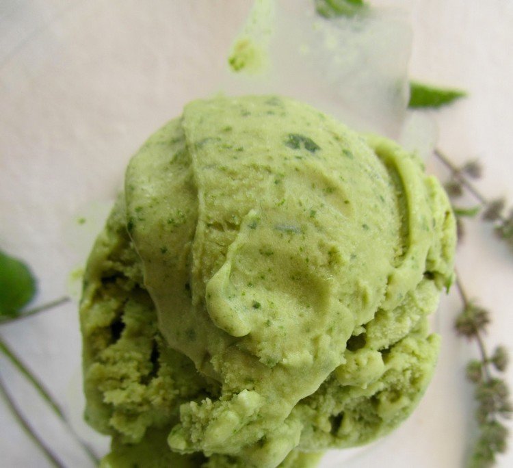 Receita de sorvete de menta com hortelã fresca