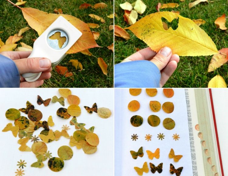 folheto-outono-consertar-soco-motivos-borboleta-álbum-decoração-cartão