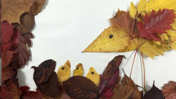mexer com folhas no outono-folhagem-colorida-imagem-ninho de pássaros