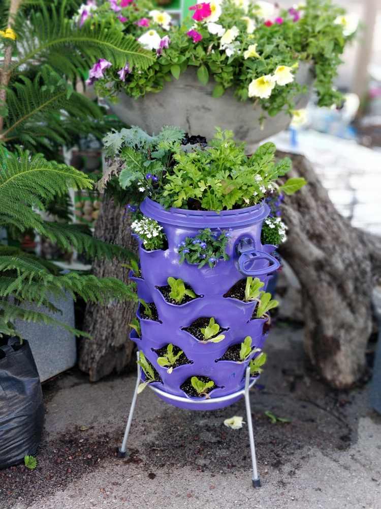 Mini cama elevada para ervas e flores para o terraço