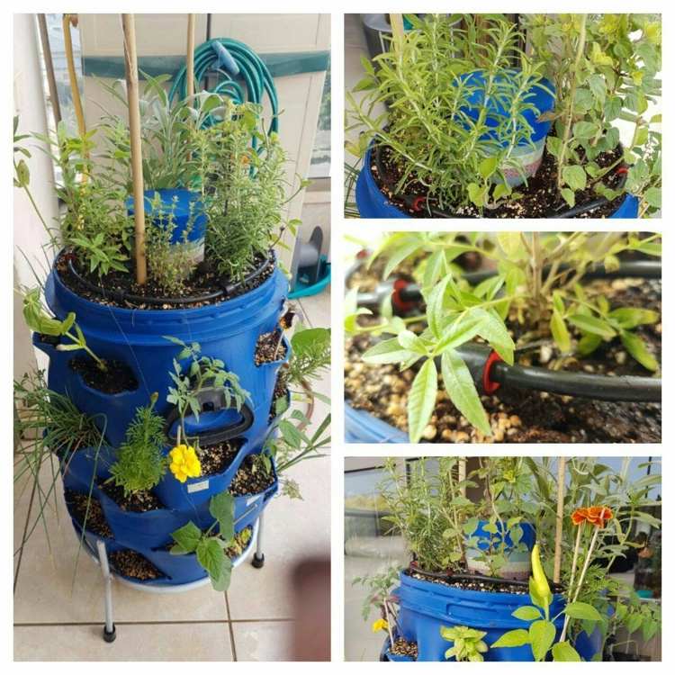 Mini cama elevada para varandas com ervas e flores
