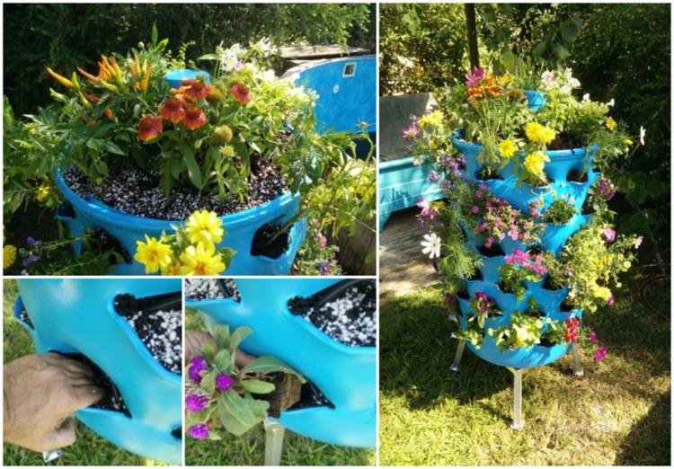 Plante o canteiro elevado com flores e ervas
