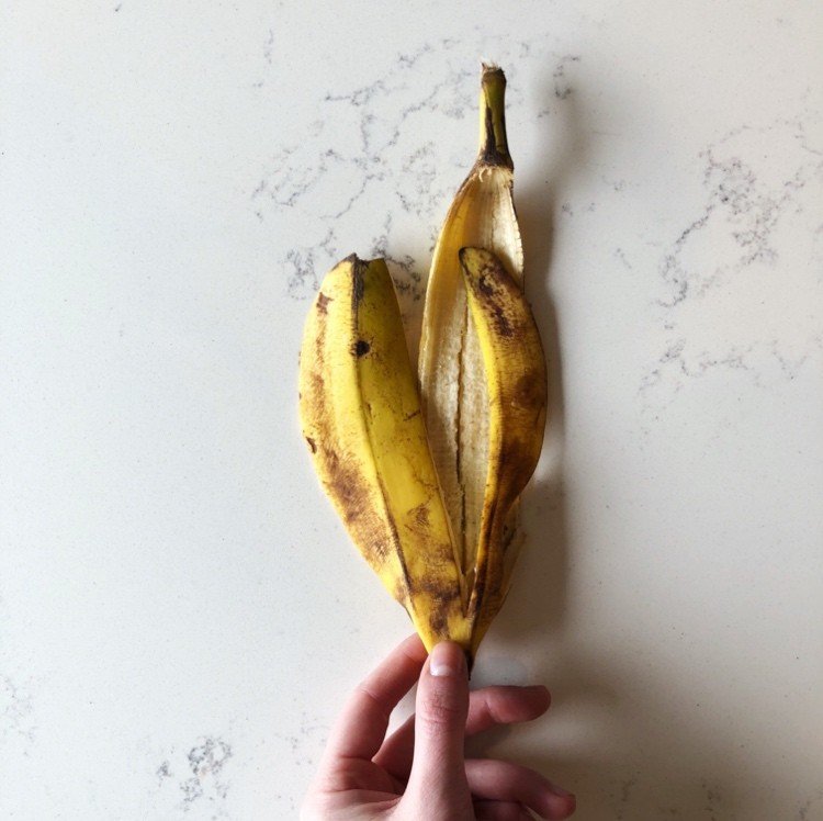 Minhocas compostáveis ​​como casca de banana
