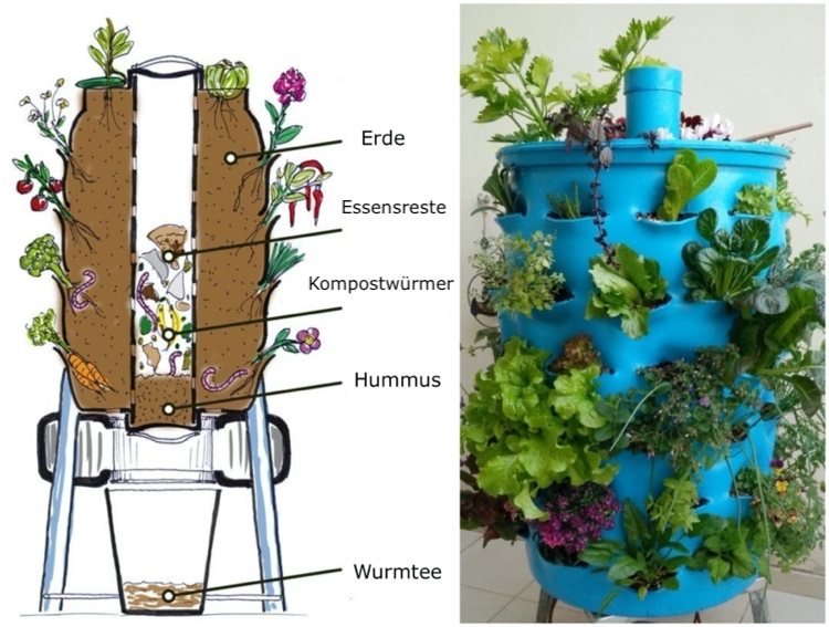 Cama elevada e compostagem em uma com minhocas de compostagem