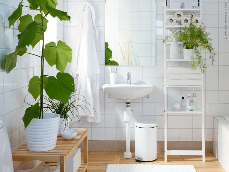 Plantas para o banheiro Vaso de plantas com lírio verde-pedal da pia-compartimento-prateleira-piso de madeira-acessórios do banheiro