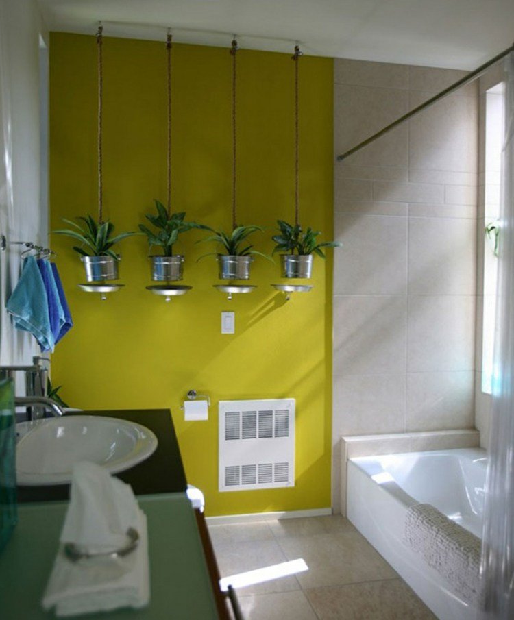 plantas para o banheiro pendurado bacia-arco cânhamo-pouco exigente-banheira-pia-toalhas-parede