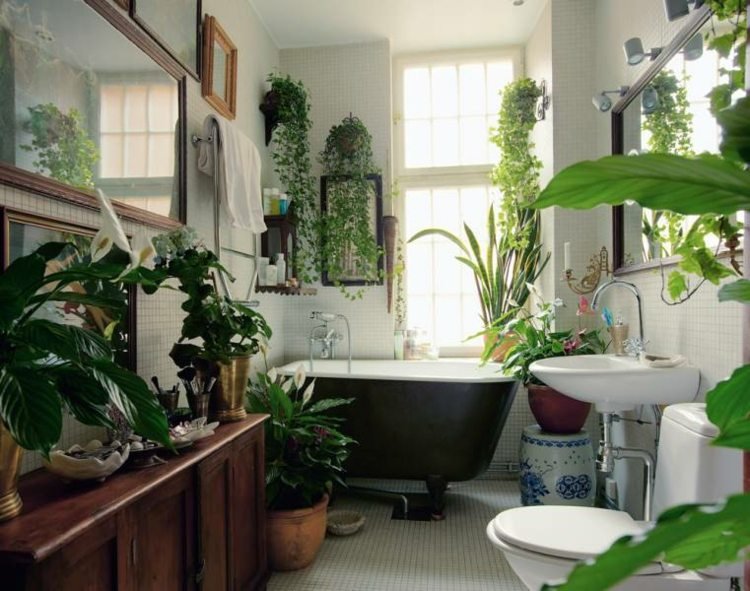 planta-banheiro-janela-parede-titular-efeutute-janela-peitoril-arco de cânhamo-folha-única-banheira-decoração