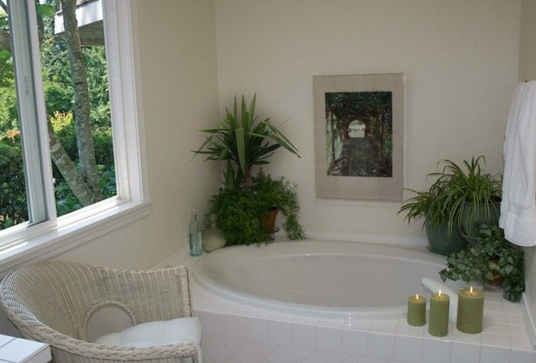 planta-banho-verde-lírio-quarto ivy-iúca-verde-palmeira-lírio-banheira-velas-poltrona de vime-janela-toalha de banho