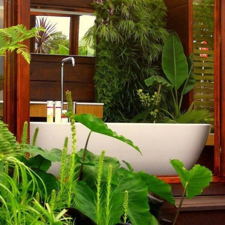 Plantas para o banheiro ficus-espada samambaia-seta folha-banho-free-standing-bath-accessories-wood-wall greening