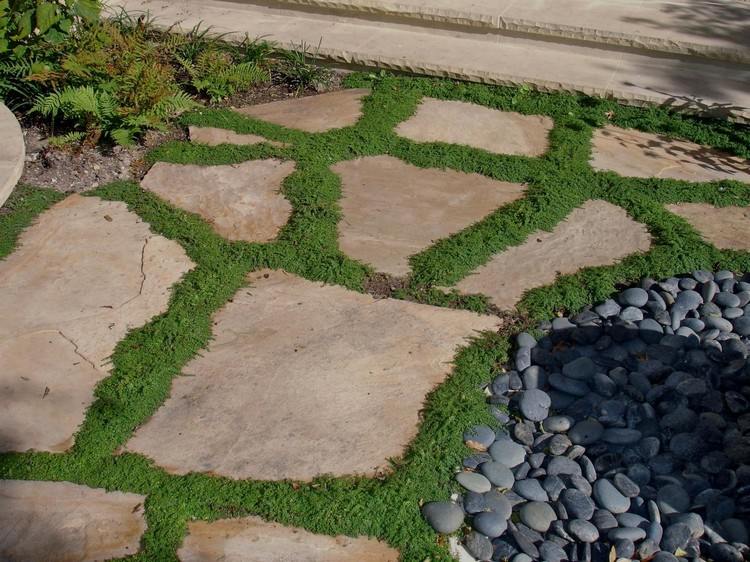 Crie um caminho de jardim. Lajes de pedra - deixe crescer ervas daninhas