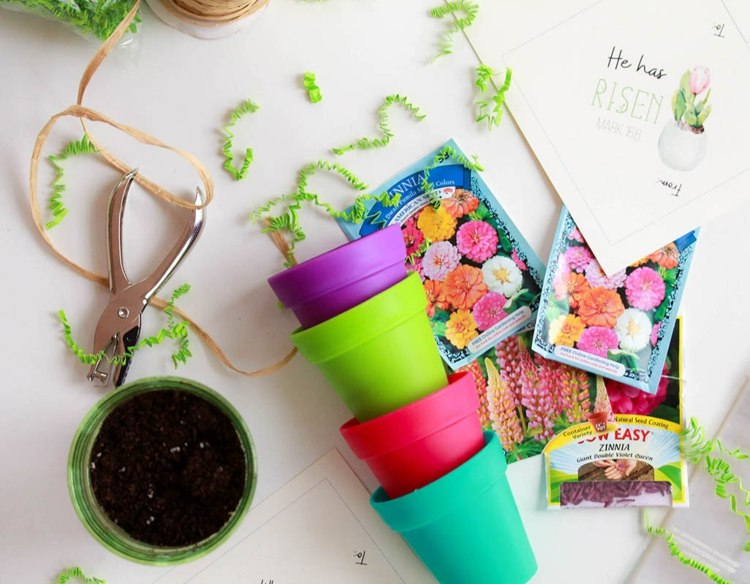 ideias para presentes de páscoa mini sementes de vaso de flores