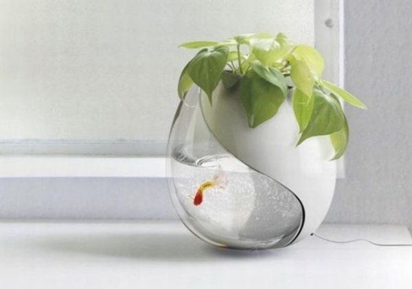 idéias práticas de combinação de vaso de flores de aquário para o propósito