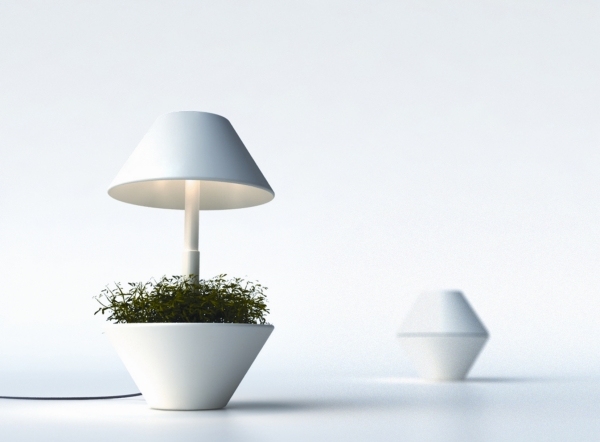 vaso de flores, lâmpadas de plantas modernas, material branco atual