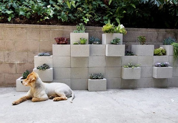 vasos de flores modernos plantas de jardim interessante cachorro bonito