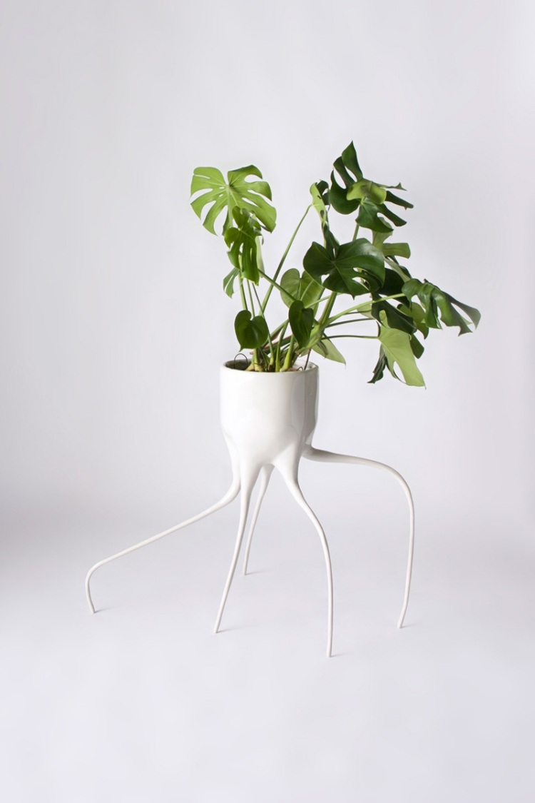designer-flowerpot-monstera-plant-tim-de-weerd