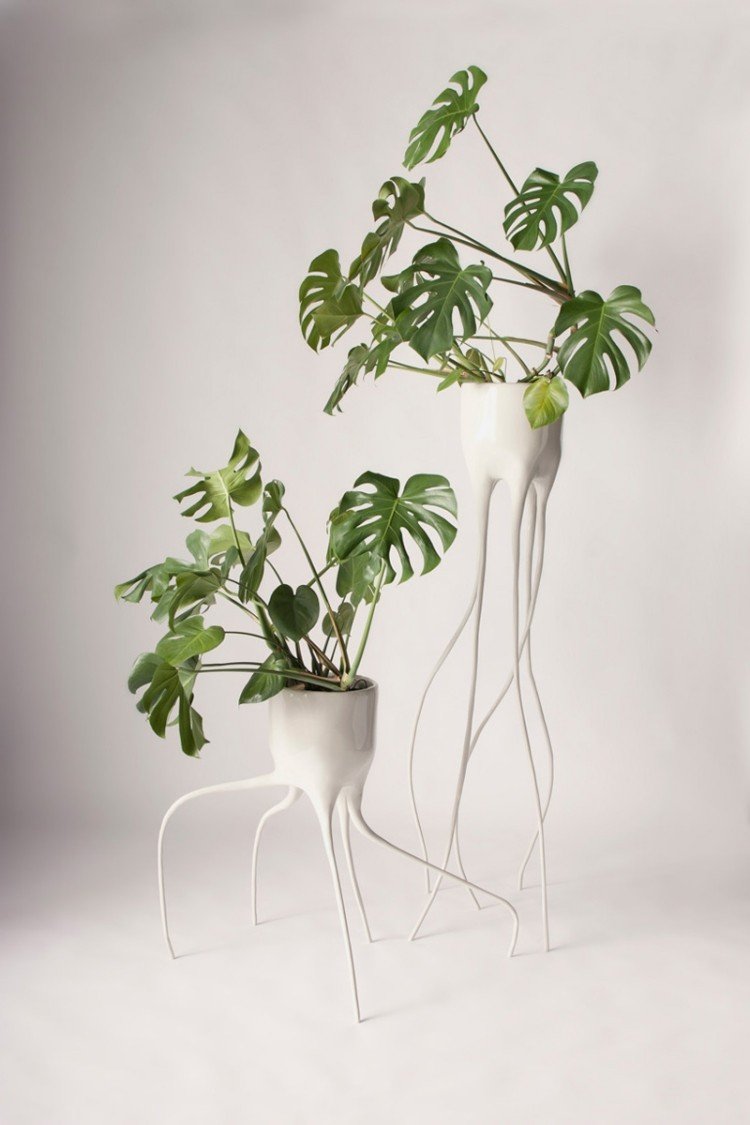 vasos de flores modernos pintados de planta monstroa de branco