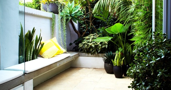 muitas flores, plantas, representam a natureza, espaço aberto, verde fresco