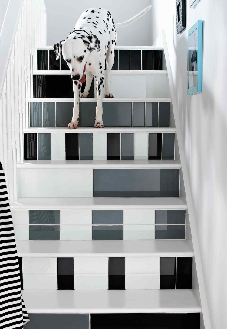 Azulejos no corredor -moderno-antigo-edifício-monocromático-preto-branco-escada-cachorro-dálmata