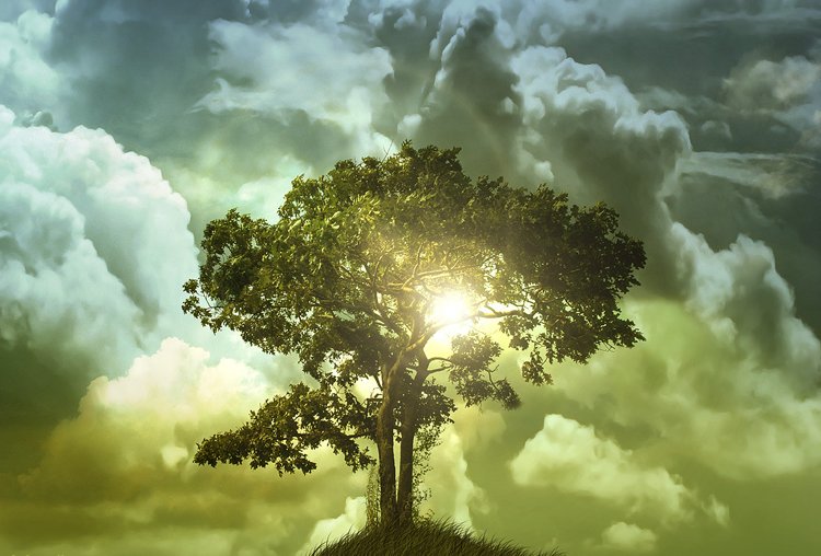 Túmulo moderno design-alternativo-árvore-vida-sol-símbolo-significado