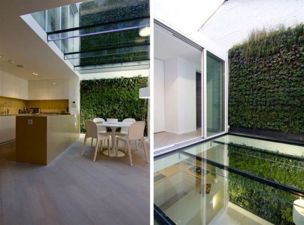 renovação de casa parede verde vertical piso de vidro cozinha