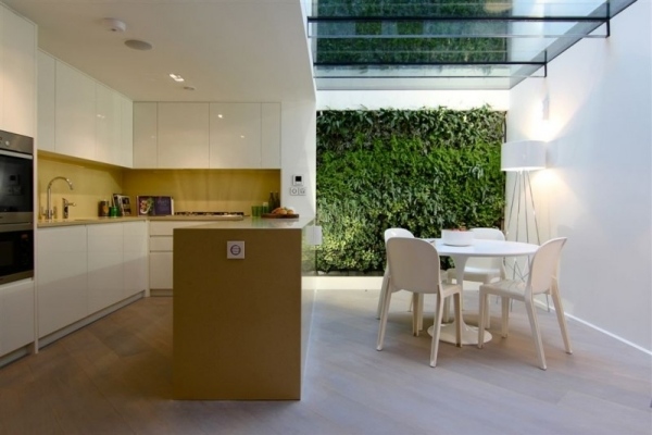 reforma de casa moderna, porão, telhado de vidro, parede verde vertical