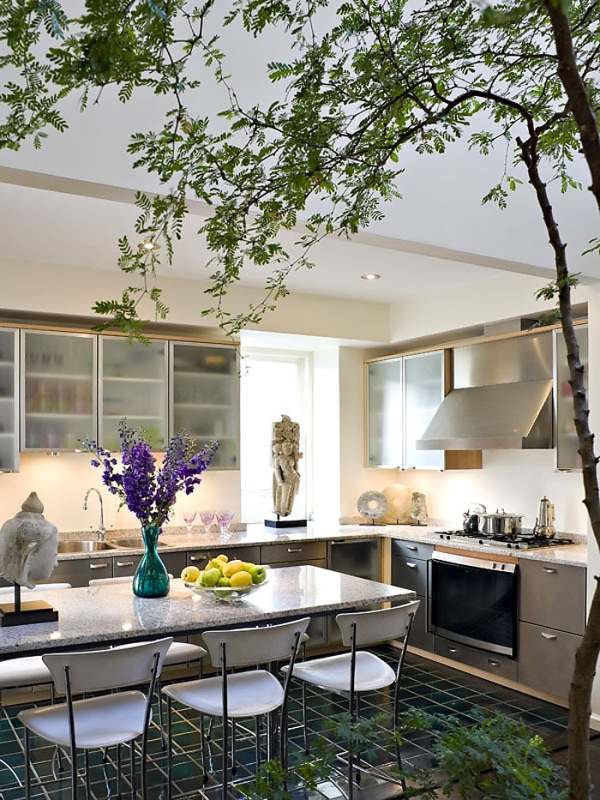 cozinha moderna ornamentos orientais plantas de casa videiras