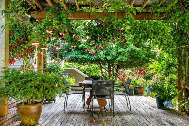 moderno-pergola-plantio-terraço-plantador de madeira