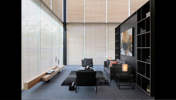 sala de estar moderna prateleira preta área de estar com tapete cortinas de sofá de couro