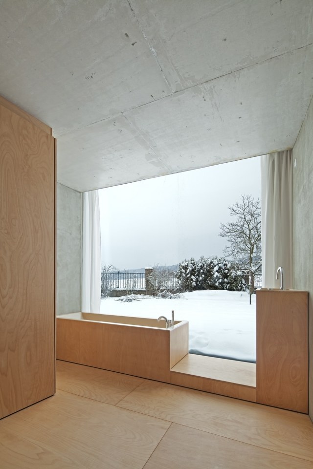 banheiro moderno-minimalista-aparência-madeira-banheira-revestimento-parede de vidro