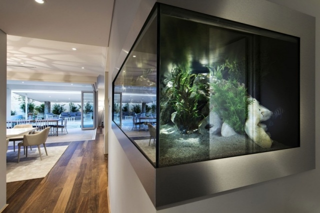 moderna-costeira-casa-aquário-parede-integrada-iluminada