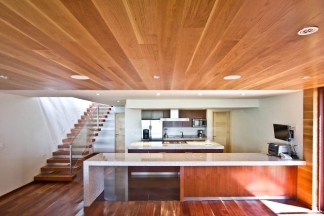 casa na floresta com móveis modernos cozinha com teto de madeira