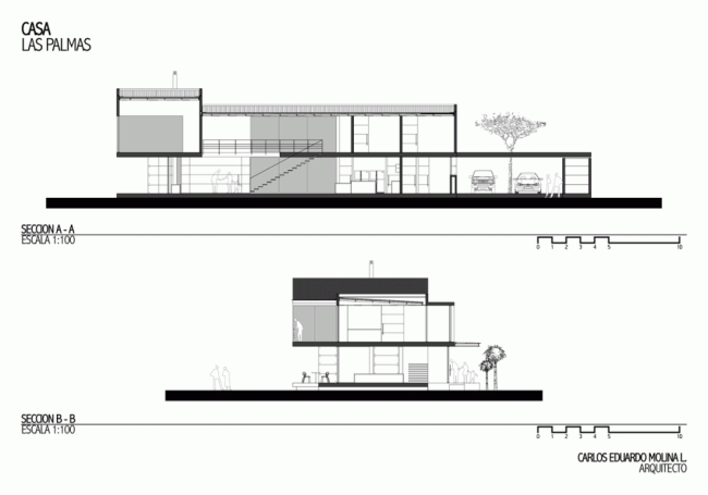 las-palmas-house-plan-carlos-molina-section cross-section