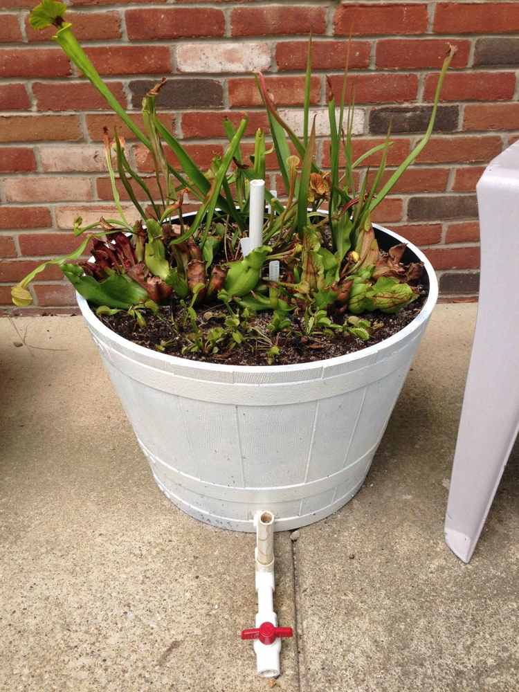 Moor-bed-create-plants-bucket-barrel-white-overflow