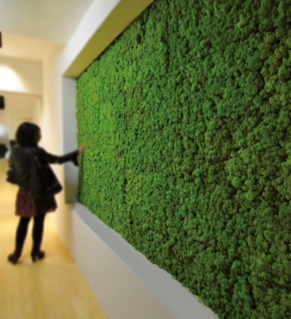 líquen estabilizado de instalação verde vertical-Benetti MOSS- jardim