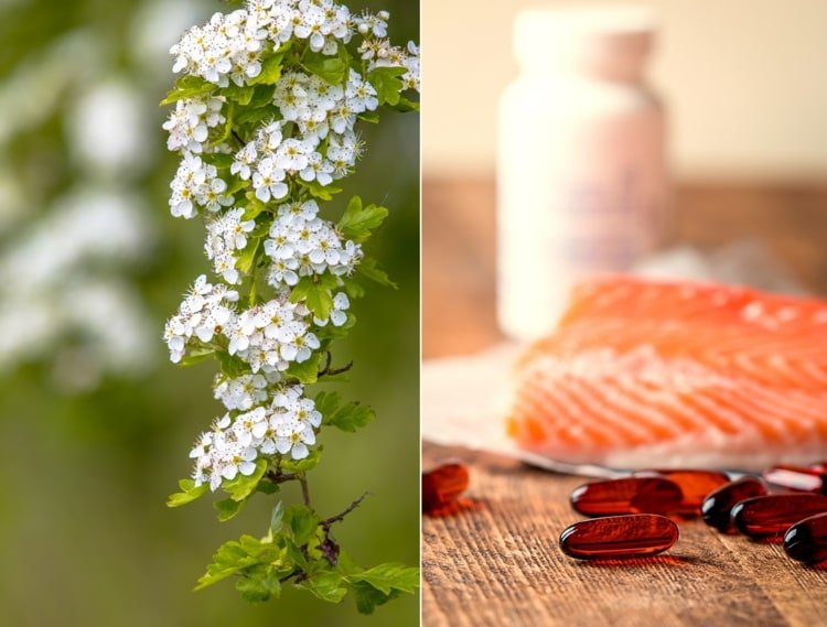 Hawthorn e ácidos graxos ômega-3 de plantas e peixes para inibir a coagulação do sangue