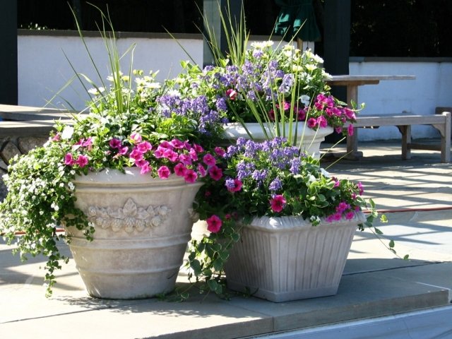 A estação do jardim colore lindos vasos cuidados adequados necessários
