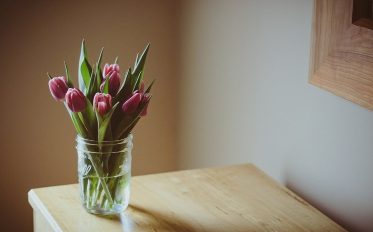Soda-asse-flores-tulipas-mantenha-frescas-por mais tempo