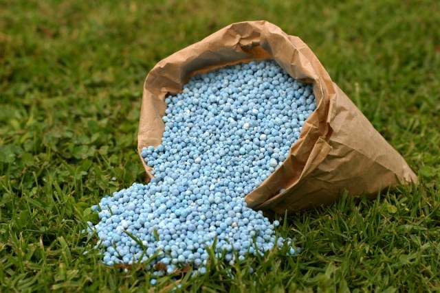 fertilizante mineral jardim espécie azul agricultura