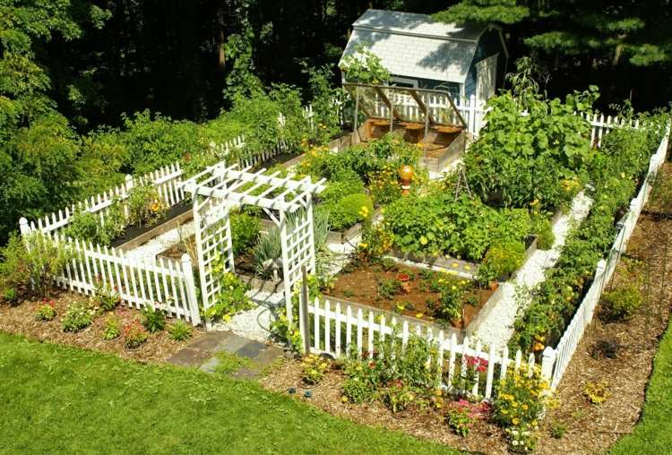 create-kitchen-garden-white-fence-trellis-planning-tips-buesche