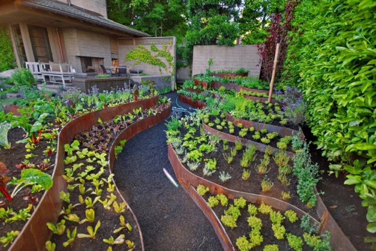 Criar-cozinha-jardim-idéia-moderna-nobre sistema-terraço-beet-red-beet