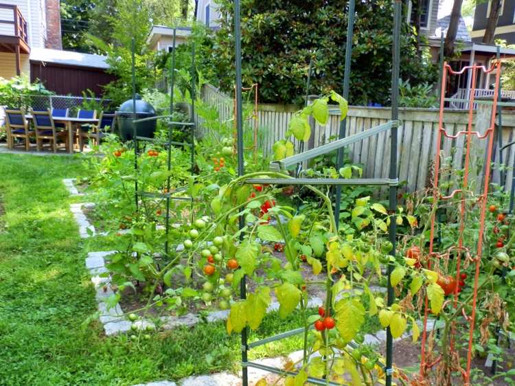 Criar-cozinha-jardim-pavimentação-pedras-tomates-trepadeira-madeira