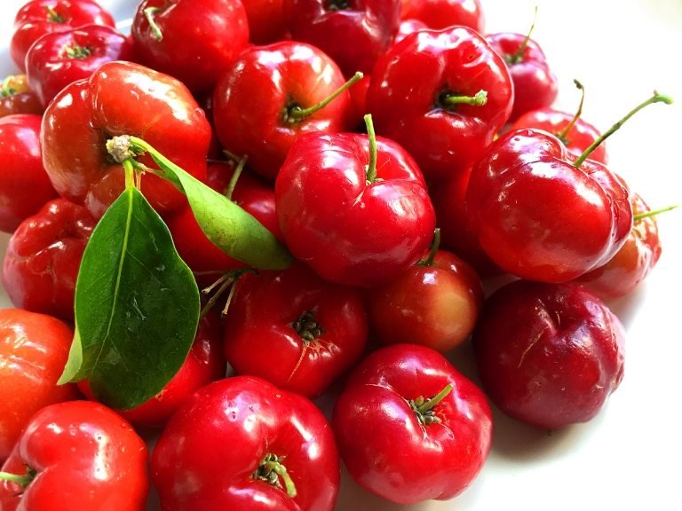 Frutas com baixas calorias Cerejas de acerola que são as melhores frutas para perder peso