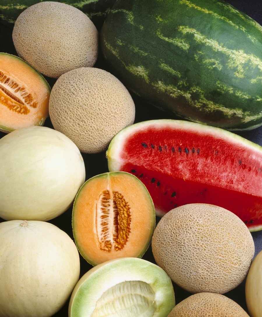 Calorias de melancia de fruta com baixo teor de açúcar 100 gramas que frutifica quando faz dieta