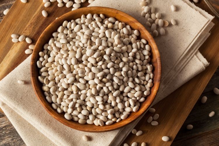 O feijão branco pertence ao alimento vegetariano de ácidos graxos ômega 3
