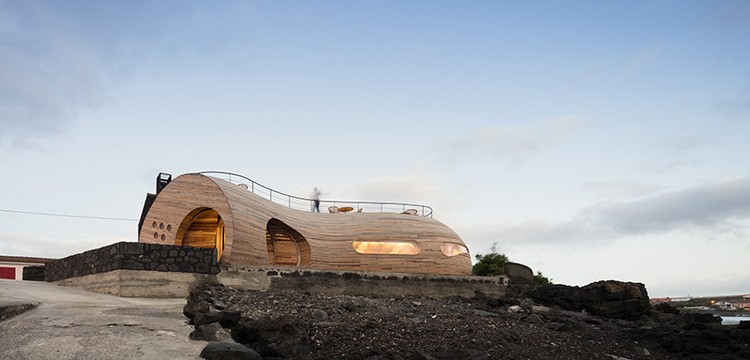 formas de janela de arquitetura orgânica