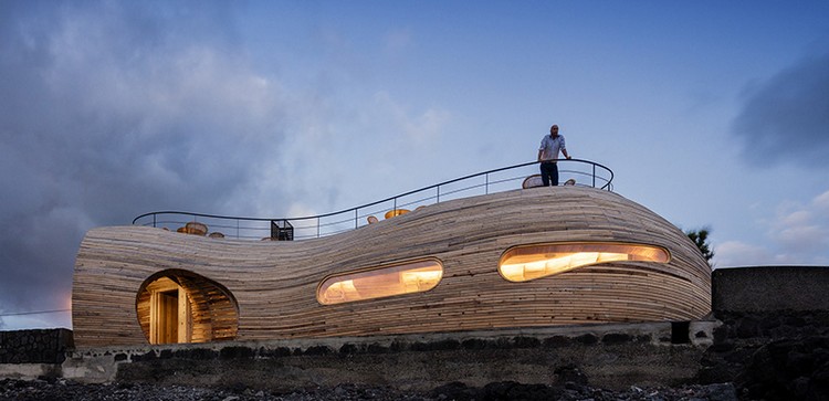 Arquitetura orgânica-revestimento de madeira-oval-janelas-terraço-terraço