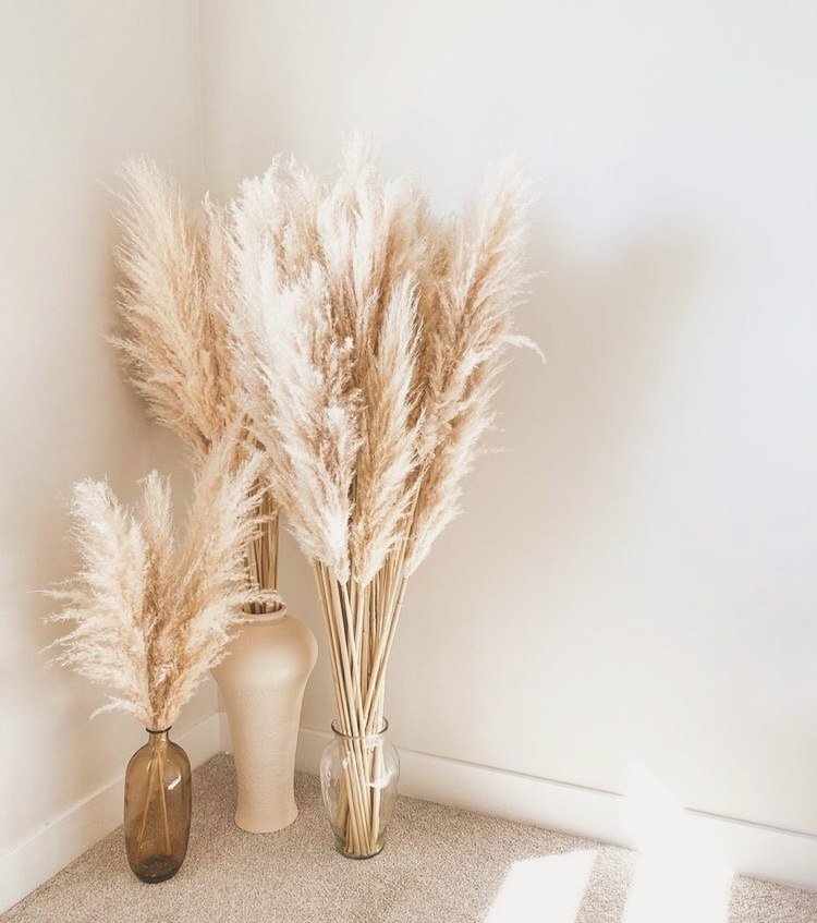 Vale da grama dos pampas em diferentes comprimentos para vasos