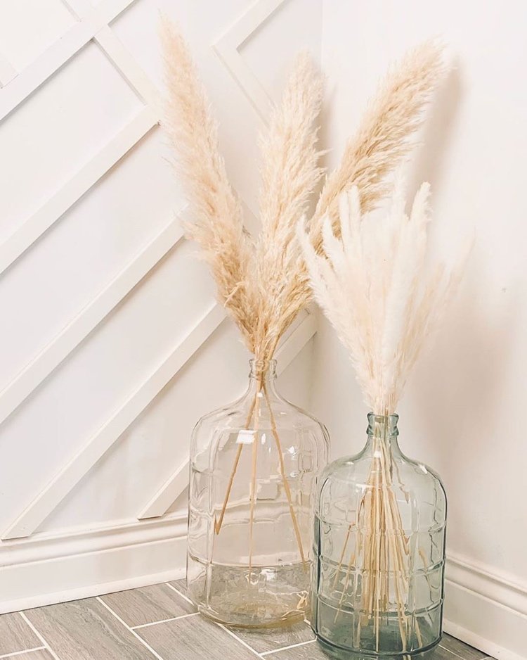 Coloque a grama dos pampas dentro de casa em vasos de vidro altos e grandes