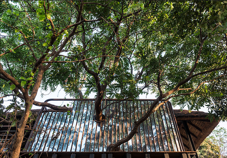 pavilhão-telhado-palha-árvore-natureza-arquitetura amiga do ambiente